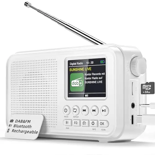 Radio Portable Dab&FM,Bluetooth,Batterie Rechargeable de 3000 mAh,Compatible avec Les Cartes TF jusqu'à 64 Go,Type-C Port,Prise Casque,40 Stations Préréglées pour FM et 40 Stations Dab,Double Réveil